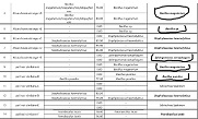 Morgellons Laborbericht Bazillus megaterium